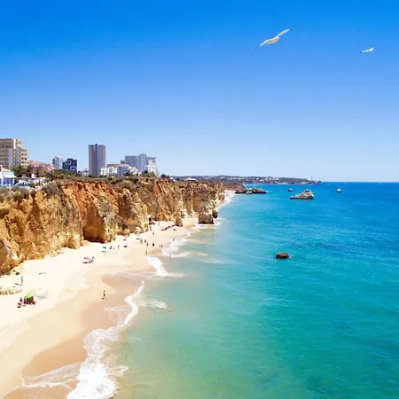 A58 - Rocha Grand View In Apartment *